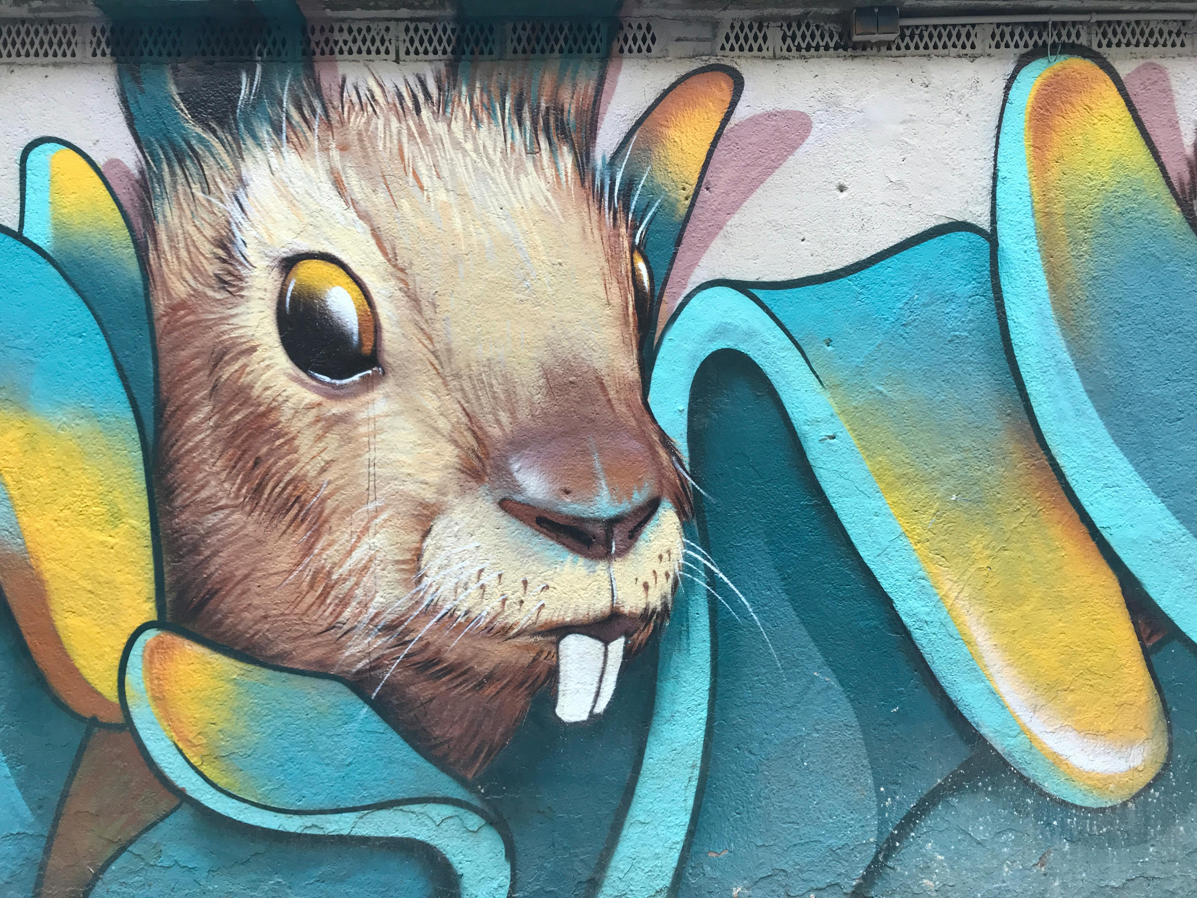 Smart Ways to Improve Rob Rabbit Pitts' Marketing Strategy in 2025