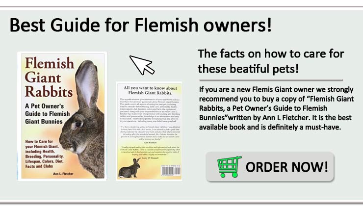 Lifespan of Flemish Giant Rabbits