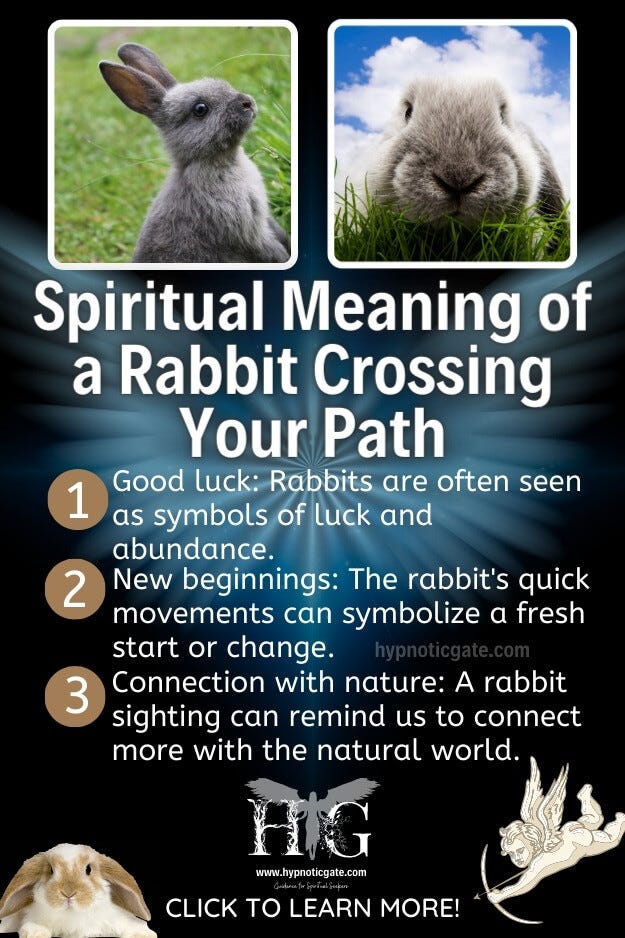 Rabbit Spiritual Meaning