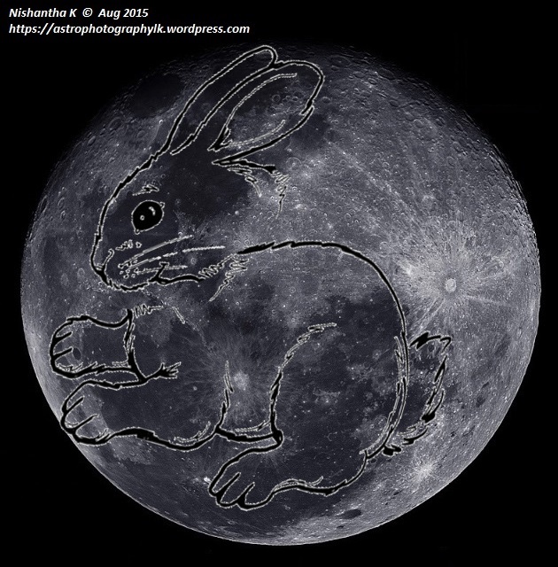 Lunar Rabbit Concept Art