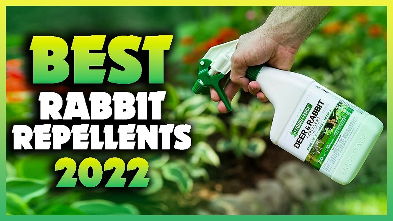 Natural Rabbit Repellent Solutions