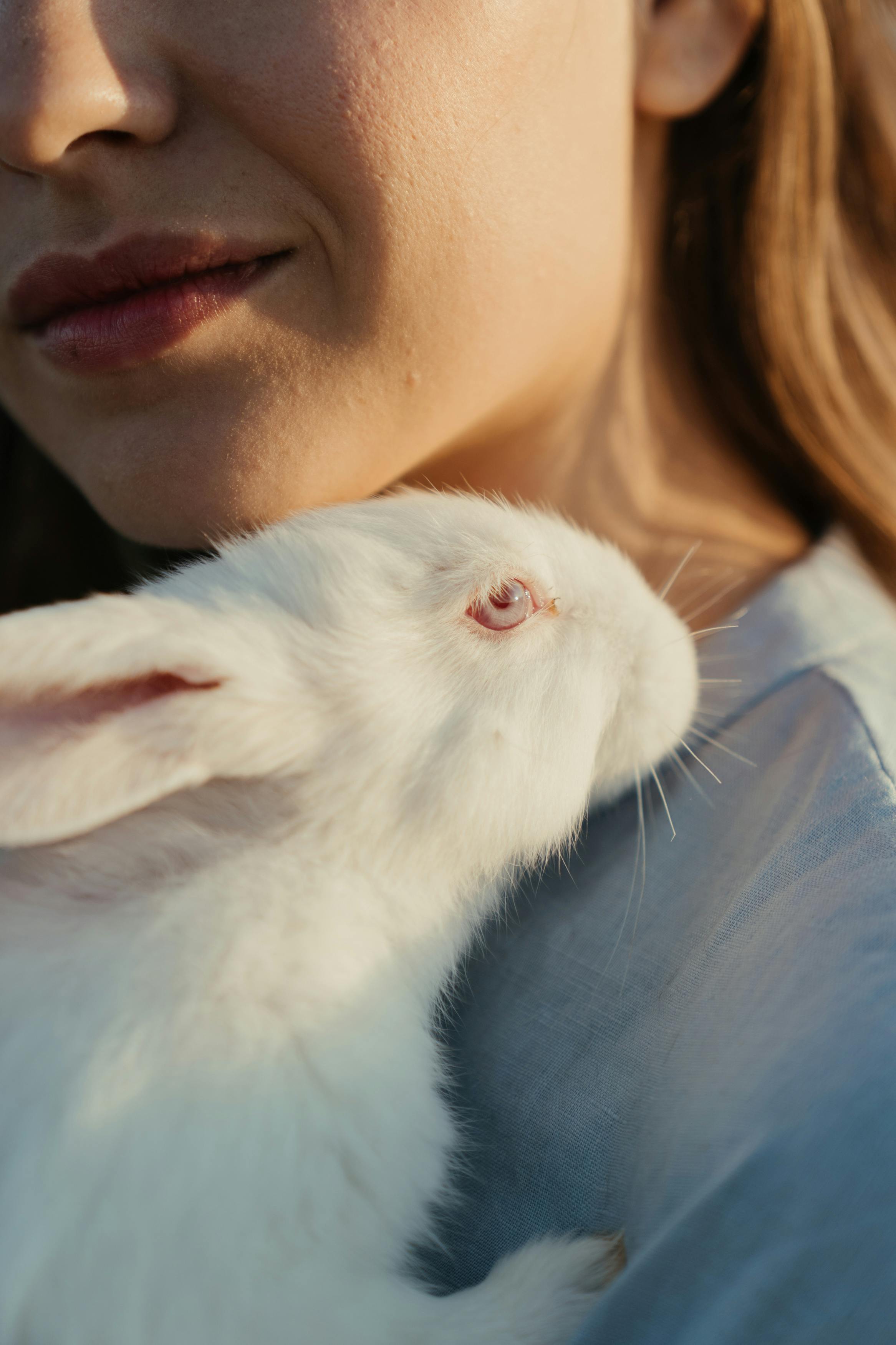 Kung Fu Rabbit Techniques