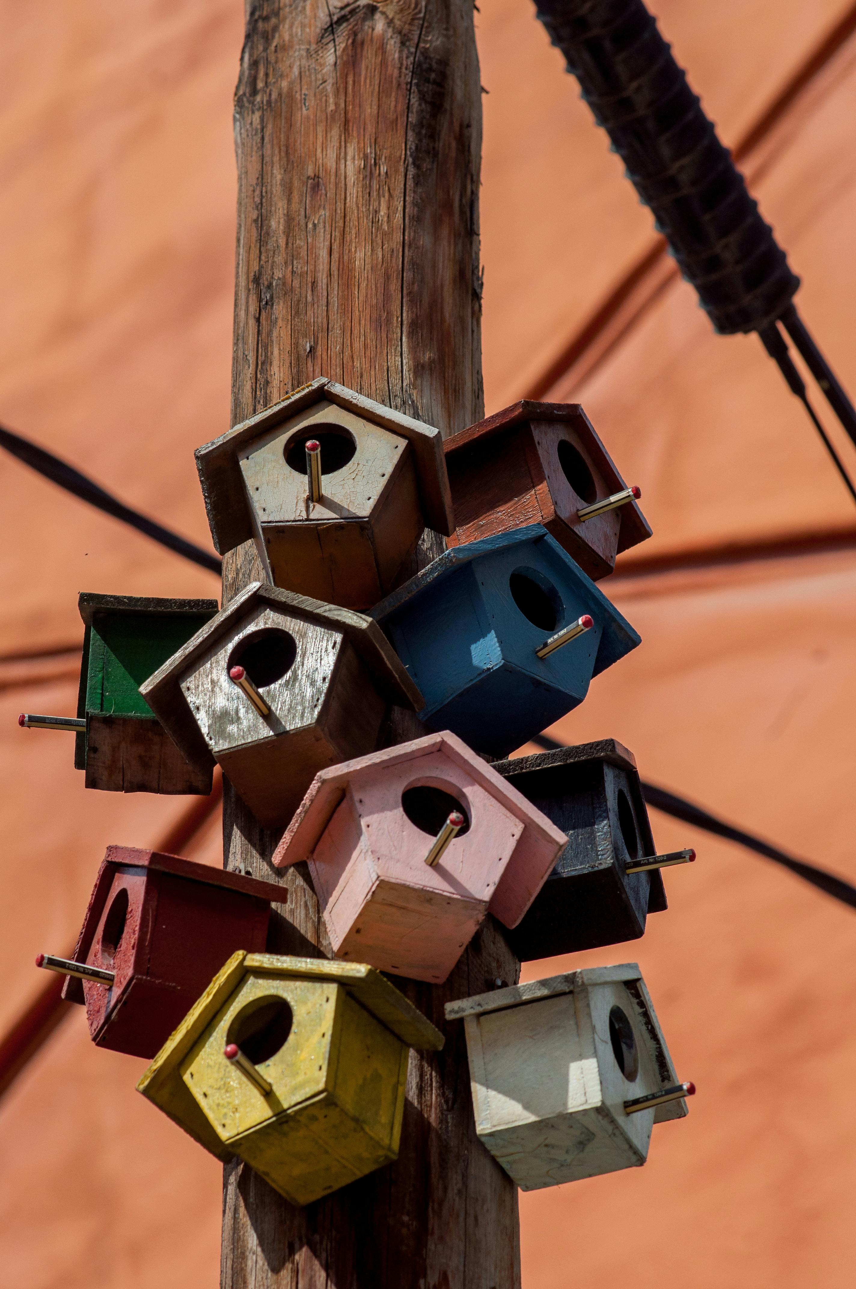 Stylish Rabbit Nesting Box